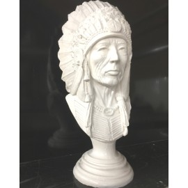 Indian Chief